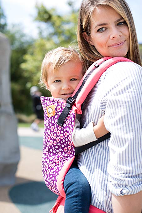 Baby Tula Standard Baby Carrier
